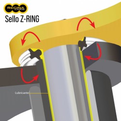 520H - 120 Cadena REGINA Z-Ring Dorada