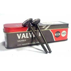 SZ-R 160 - Válvulas